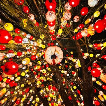 阳江海陵岛出发打卡大角湾水晶宫+红树林国家湿地公园包车一日游