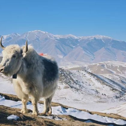 【民勤-兰州】马牙雪山+乌鞘岭+天梯山石窟+红崖水库1日游
