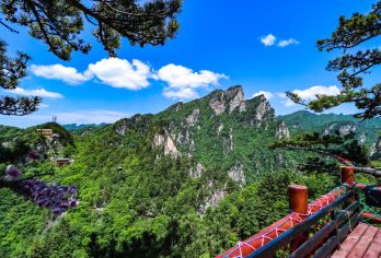 西峡老界岭登山一日游【纯玩团丨含景交车】【[退改无忧]出发前一天18点前，有任何变动皆可联系客服，全额退款没有任何损失】