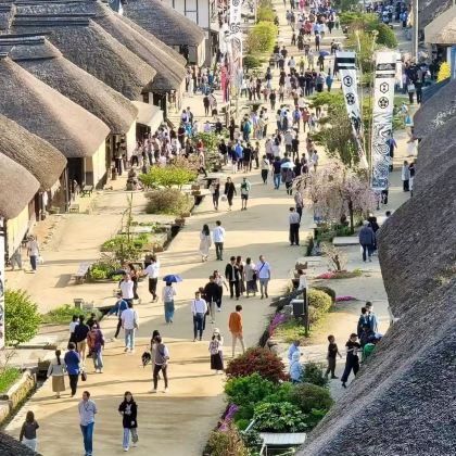 日本仙台+黑川城+会津螺旋堂+大内宿包车一日游