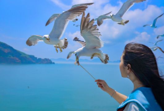 西山风景区+龙门+跨海索道+滇池+大观楼+庾园一日游自由行【[自由行]包含：龙门景区门票、环保大巴、电瓶车、跨海索道，庾园下午茶】