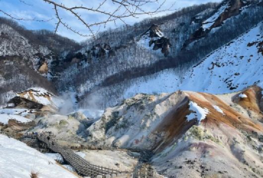 日本登别小樽洞爷湖地狱谷-可札幌富良野美瑛北海道包车精选【包车一日游，解锁旅行新方式！独立车辆配备经验丰富的老司机，为您量身打造专属行程。】