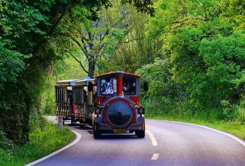 武夷山白云禅寺+月亮湾+青龙大瀑布【独立车导】一日游【[独立车导+免费酒店接送+优秀导游服务]】