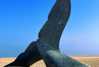 青岛出发-烟台蓬莱阁+八仙过海+牟氏庄园一日游可英文服务【可提供英文及小语种导游服务-往返接送-可选导游-可代订门票】