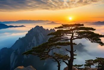 黄山风景区一日游【全景线/轻松线/懒人线｜含门票景交导游】【[地道玩法]三线随心选享宁静自由，酒店上门接送轻松出行，本地人带深入当地，让旅行重回温度】