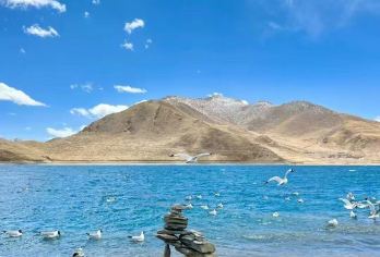 拉萨羊卓雍错+卡若拉冰川一日游【独立成团，越野车+随车氧气】【矿泉水一瓶/每人、随车10升钢罐氧气一罐/每车（用完为止）、隆达一份/每人】