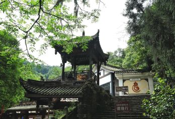 【都青至尊】都江堰+青城山纯玩一日游【纯玩无购物】