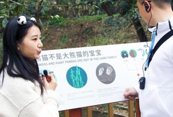 成都熊猫基地+自然博物馆一日游【解析熊猫行为+恐龙化石课】【资深讲师生动讲解，深度解读自然奥秘，激发探索兴趣，揭秘史前世界，从活化石到真化石权威解读】