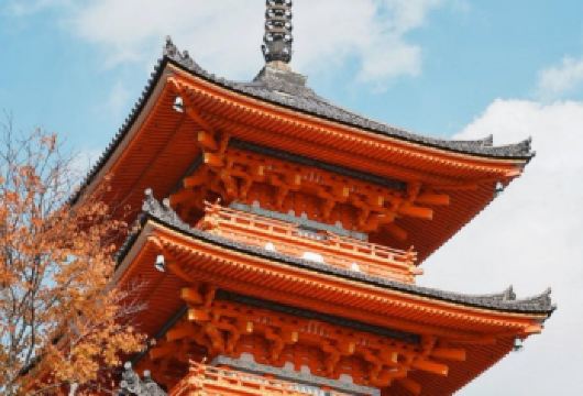 日本京都-琉璃光院-三千院-岚山巍峨野小火车-红叶巡礼.【专业行程定制，精选热门景点，高效游玩不走回头路，贴心服务保障，轻松】