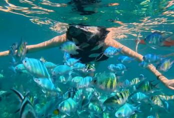 分界洲岛 堡礁浮潜+玻璃船航拍+赠浮潜照片视频【[新潮体验]堡礁自由浮潜和热带鱼互动，赠送浮潜拍照视频+网红玻璃船航拍】