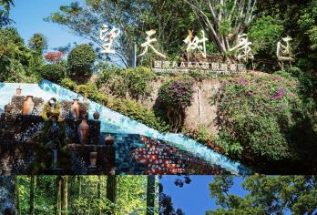 西双版纳+热带雨林国家公园望天树景区+西双版纳【车辆15%空座率，严选安全舒适车辆，优秀当地老司机，熟悉路况，安全驾驶，服务态度好，真诚待客。】