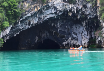 巴马百鸟岩+百魔洞长寿村+盘阳河包车一日游【纯玩0进店】【[精华景点]梦幻光影水波天窗-百鸟岩 ·“天下第一洞”百魔洞 · 世界长寿之乡长寿村】