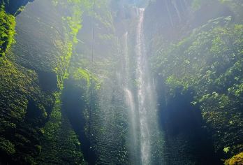 四川宜宾兴文石海洞乡+僰王山+蜀南竹海包车一日游英文服务【探石海洞乡，访僰王秘境，游蜀南竹海。】