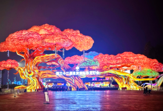 【自贡灯会+燊海井+盐业历史博物馆】躺平式一日游【高铁/酒店无缝接送，全程专车，躺平出游不费力】