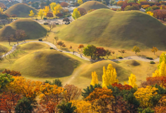 【釜山-庆州四季之旅】佛国寺+良洞村+大陵苑+东宫和月池【春季樱花特辑：走访庆州的季节性赏樱景点 (限定 3 - 4 月)】