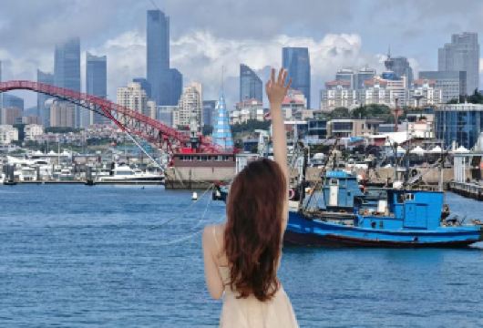 【购物退全款】2-8人团/栈桥喂海鸥+八大关+五四广场小麦岛【青岛网红打卡景区一网打尽，真正的青岛市区一日游】