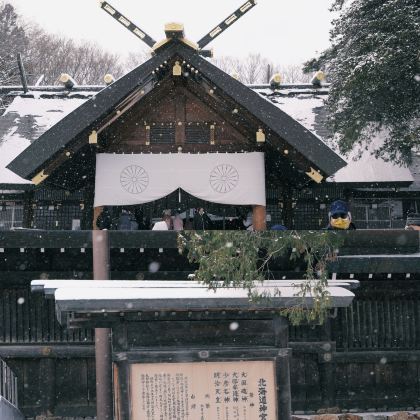 札幌全景一日游｜神宫 + 童话公园 + 百年学府 + 美食市