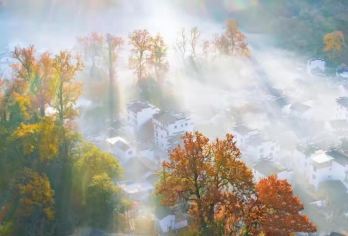 石城+瑶里+寒溪村+东埠村+瓷宫一日游【赏秋2-6人团】【[1车1司]上门接送，实现晚起自由！】