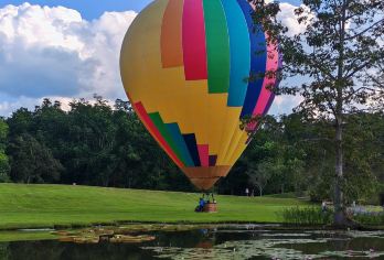 中科植物园+野象谷一日游【上门接送|探秘植物|寻觅野象】【[优质交通] 一单一团，独立操作，专职司机、安全可靠，上门接送，出行无忧】
