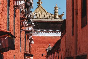 西藏日喀则扎什伦布寺一日游【日喀则出发！扎寺一日畅玩，周边】【景观：能观赏到恢宏的金顶红墙建筑，瞻仰世界很大铜佛坐像，领略精美壁画与珍贵文物，感受藏传佛教魅力】