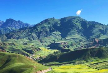 卓尔山+祁连大草原+岗什卡雪峰一日游【畅玩祁连山】