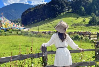 林芝鲁朗林海一日游【什么是快乐星球 鲁朗研究所带你出发】【景观：踏入鲁朗梦幻林海，云雾缭绕间，邂逅如诗田园与壮丽雪山，沉浸式领略高原风光。】