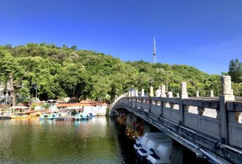 杭州日游：西湖+灵隐寺+西溪湿地|专业导游【中英俄法德西】#【拒绝走马观花式游览，资深导游一站到底式管家】