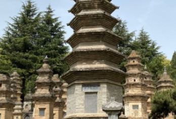 【郑州出发】河南少林寺龙门石窟汽车一日游【品质出游】