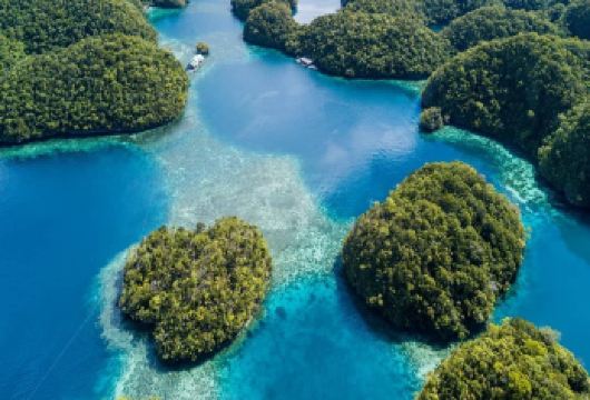 锡亚高岛：索霍顿湾一日游 | 邂逅水母与悬崖跳【探秘索霍顿湾水母保护区、萤光洞穴等特色景点，体验独特。】