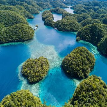 锡亚高岛：索霍顿湾一日游 | 邂逅水母与悬崖跳