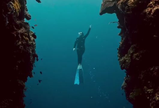纳帕林礁（与沙丁鱼共游）——薄荷岛及周边地区【在纳帕林礁体验与成千上万条闪闪发光的沙丁鱼一起游泳的刺激，同时在清澈见底的海水中浮潜，欣赏生机勃勃的珊瑚花园。】