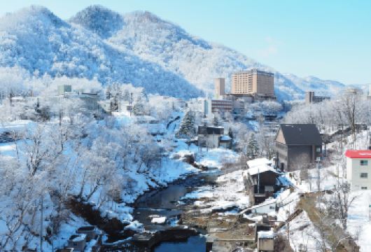 札幌纯玩一日游｜头大佛·定山溪温泉·海鲜市场·北海道藻岩山【当地专业导游陪伴，专车接送，轻松自在，无忧享受北海道旅行。】