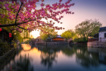 小莲庄+嘉业堂藏书楼+张石铭旧宅+百间楼+摇橹船【南浔古镇】【全程私人专车服务，不拼团，行程灵活可调整。】