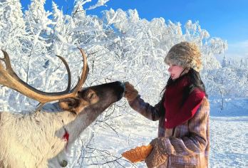 中国雪乡+大秃顶子山+雪乡十里冰雪画廊一日游8人纯玩团【精品8人纯玩小团，正规营运车辆。当地老司机】
