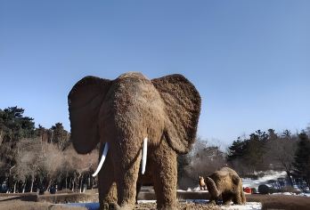 长春吉林省科技馆+长春动植物公园（假期遛娃・亲子游玩）【专车接送/行程可调/可选外语导游】