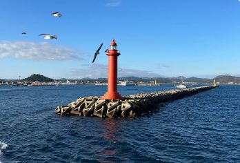 B线：牛岛+城山日出峰+涉地可支+月汀里｜济州岛一日游【牛岛是离岛 环岛一周 打卡果冻海 白沙滩 黑沙滩 等闻名景点】