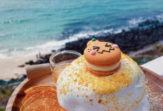 韩国涯月海岸道路+山茶花之丘一日游【中文/行程可调/定制】【当地中文司机，在地生活，感受当地人的模式 美食攻略，旅途聚会，吃吃喝喝畅游当地】