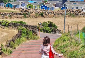 森林小火车+水族馆+城山日出峰+月汀里一日游【 中文包车游】【[当地中文司导，行程可调]】