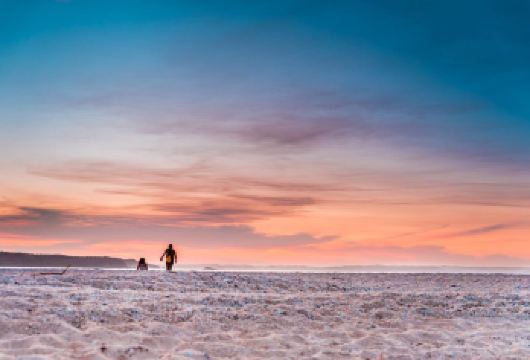 斯里兰卡科伦坡出发科格勒高跷渔民+美蕊沙出海观鲸+加勒古城【专车服务+行程可调+酒店接送】