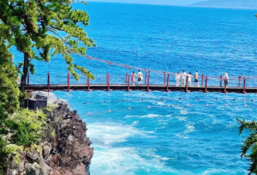 伊豆海陆空一日游：免费观海列车+城琦海岸+大室山缆车【伊豆观海列车resort 21-黑船列车/金目鲷列车自由席，欣赏伊豆海岸风光】