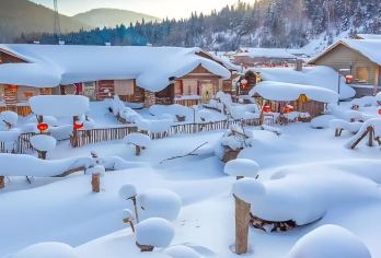 【Vip6人团尊享】亚布力滑雪+中国雪乡+大秃顶子山一日游【6人尊享小团，一日尽享雪乡大秃顶子山 林海雪原壮丽风光，纯玩团。】