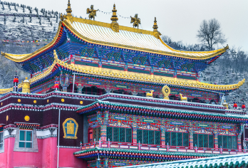 塔尔寺半日游【纯玩+无购物】【[成团保障]封顶8人小团市区规定范围内上门接送，大巴团分站式集合灵活舒适性价比高，多套餐任你选择】