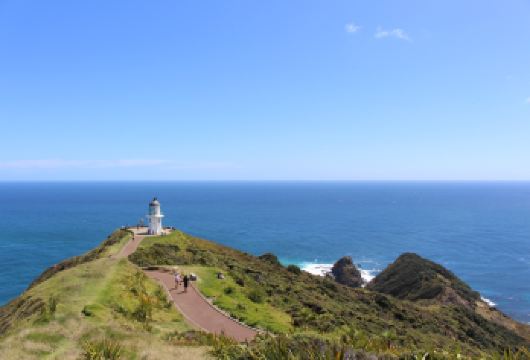 奥克兰西海岸黑沙滩与温带雨林探险一日游【中文司导10H包车】【新西兰专业司导，可定多日，团建，商务出行，可全程私家定制（详情请私客服小天）】