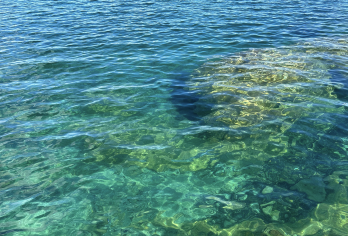 新西兰奥克兰-教堂湾-哈嘿-可定制【中文专车-惬意舒适】【中文专车出行，行程自己定义，无需等待，专属贴心服务，尽享惬意旅程】