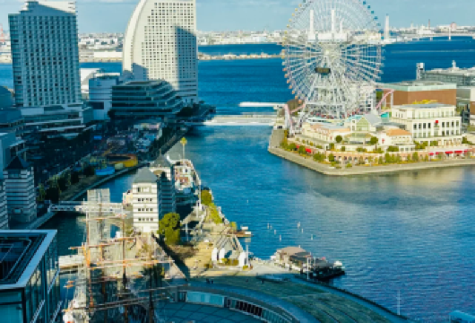 日本东京-横滨经典一日游【专车出行-中文司机-行程可调】【中文专车出行，景点灵活调整，打卡经典，游玩自己定义，无需等待，专属贴心服务，尽情惬意旅程。】