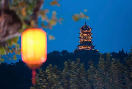 成都大熊猫繁育基地+都江堰【10H包车/行程可调/英文导游】【[充足时长・玩得尽兴]含 10 小时专属包车时长，行程紧凑，游玩时间充足，打卡拍照更从容；】