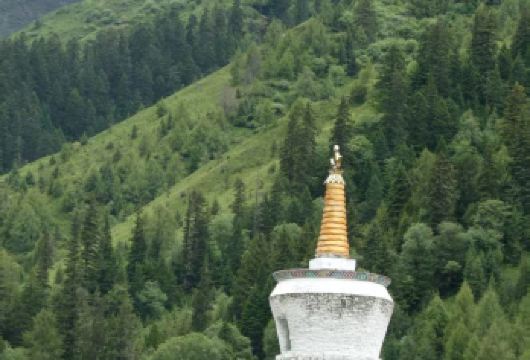 四姑娘山一日游【可选舒适头等舱/2-8人专车团】【[多种团型]经典大团/专车团，按需下单】