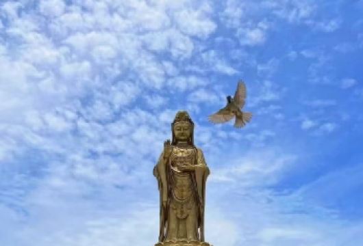 南海观音+普济禅寺+西天景区+普陀山风景区一日游【祈愿禅行】【[放心出行]每天发班.经典祈愿线路，礼敬普陀山】