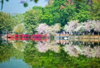 肇庆七星岩+鼎湖山一日游+春游赏花+私家包车含门票+上门接送【私家旅行：一单一团，不拼客，专属旅行； 品质服务：5座/7座车上门接送，专职司机护航】