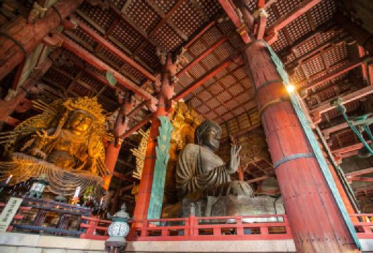 奈良半日游｜奈良公园喂萌鹿，漫游春日大社、东大寺，含地道午餐【搭乘巴士从京都轻松出发，省去转车劳顿。在专业导览下深度游览奈良，开启舒心的高品质古都之旅】